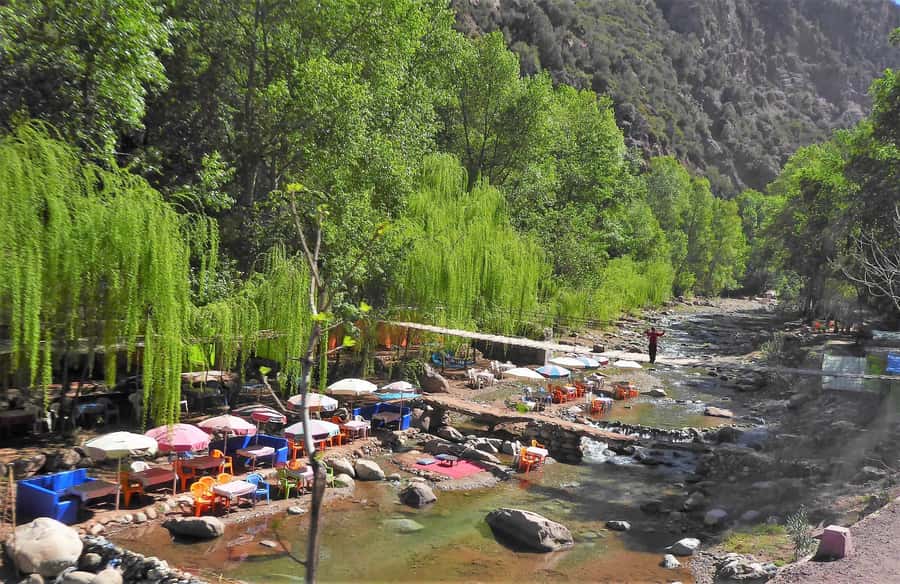 From Marrakech: Ourika Valley Trip, Waterfall Hike & Lunch - Who should book this Ourika Valley trip
