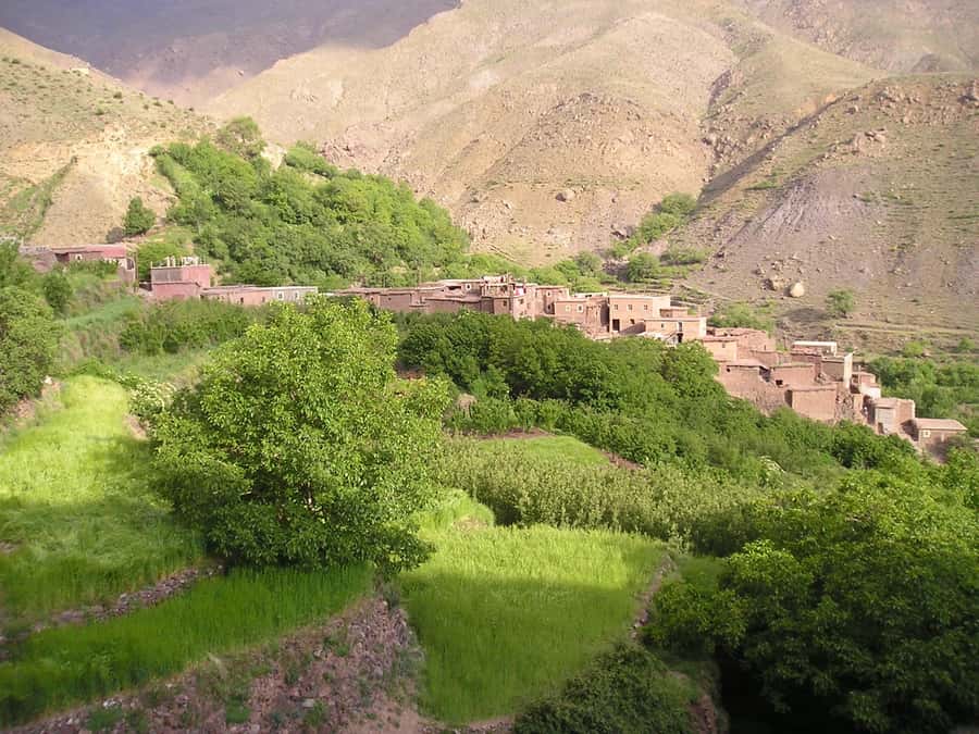 From Marrakech: Ourika Valley Trip, Waterfall Hike & Lunch - Practical tips so your day runs smoothly