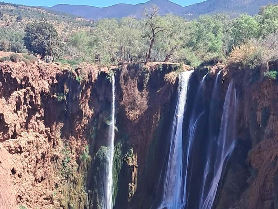 From Marrakech:Ouzoud Waterfalls Day Trip with Boat Tour - Real Value at $17: What Is Included, What Is Optional