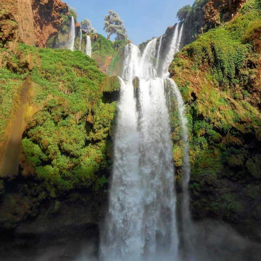 From Marrakech: Ouzoud Waterfalls Guided hike & boat Ride - Guides make or break the day (Younes and Hassan stand out)