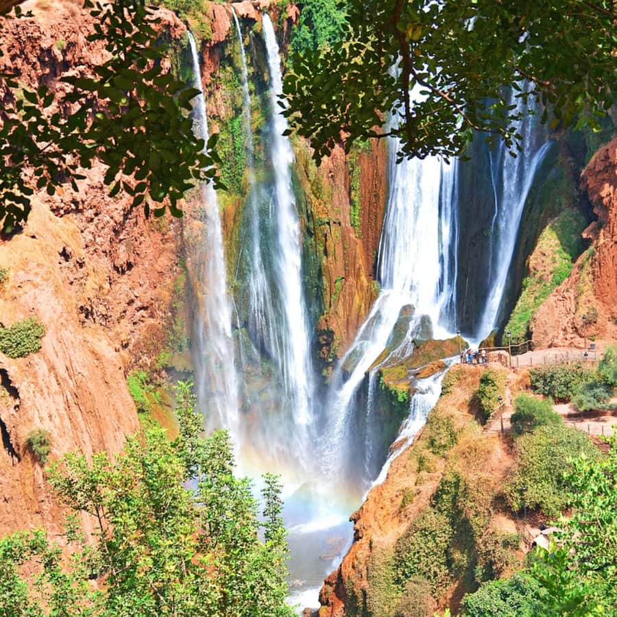 From Marrakech: Ouzoud Waterfalls Guided Tour and Boat Ride - Price and value: is $22 a fair deal?