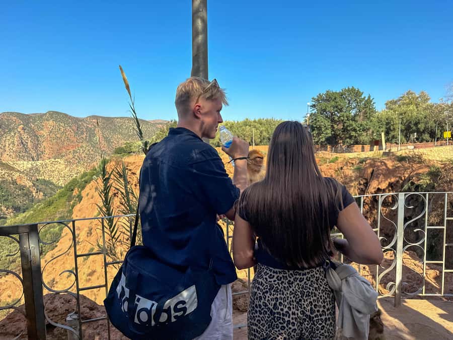 From Marrakech: Ouzoud Waterfalls guided trip with boat ride - Ouzoud On Foot: Viewpoints, Valley Walks, and That Step Count