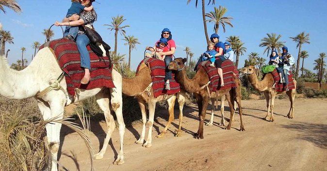 From Marrakech: Palm Grove Quad Bike and Camel Ride Tour - A quick reality check on Marrakech, then a palm-grove escape