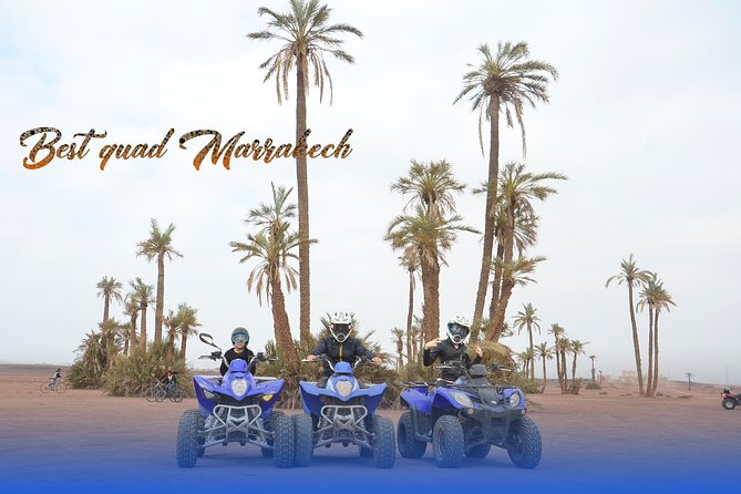 From Marrakech: Palm Grove Quad Bike and Camel Ride Tour - The traditional mint tea stop: why this moment matters