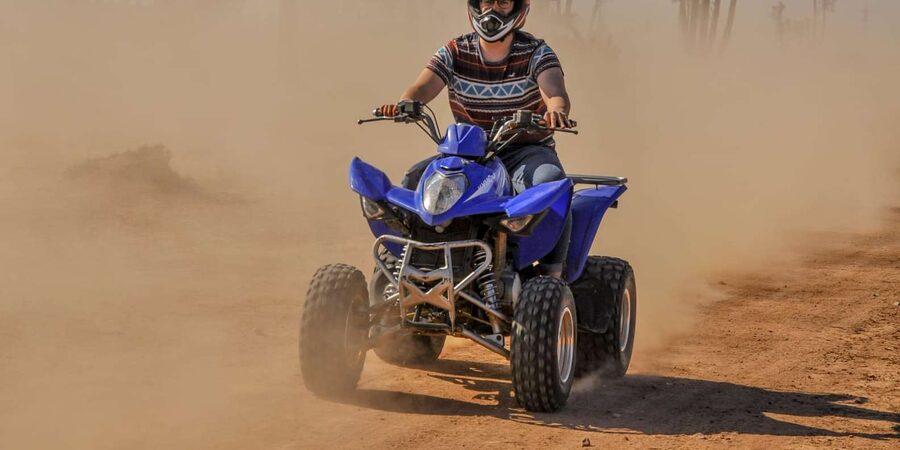 From Marrakech: Palm Grove Quad Bike Tour with Mint Tea - Should you book Palmeraie Quad Passion?