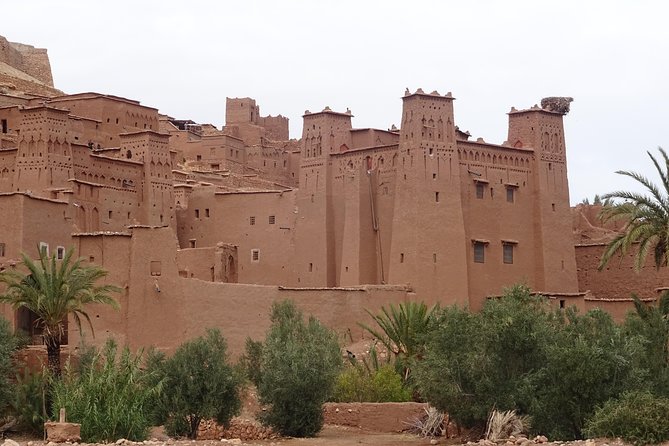From Marrakech: Private Tour to Oasis and Trekking in the Desert of Erg Chigaga - Day 4 return route: Foum Zguid, Iriki salt lake, and Tazenakht rugs