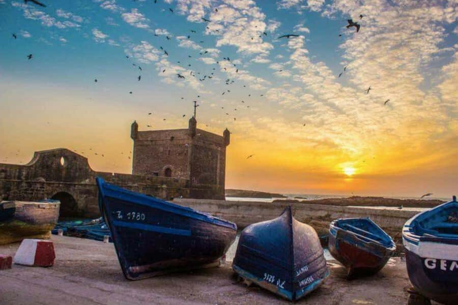 From Marrakech: small group Day Trip To Essaouira Mogador - Key highlights you will actually feel