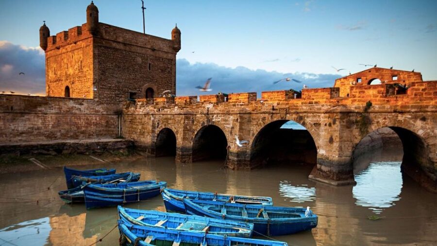 From Marrakech: small group Day Trip To Essaouira Mogador - Music culture and the art scene: what makes Essaouira feel different