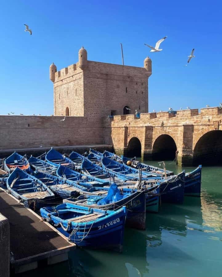 From Marrakech: small group Day Trip To Essaouira Mogador - Marrakesh to Essaouira in one day: what this trip is really for