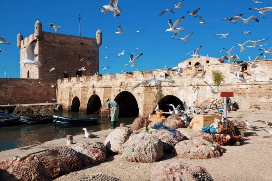 From Marrakech: small group Day Trip To Essaouira Mogador - First stop: Marjana women’s argan cooperative (learning, then shopping)