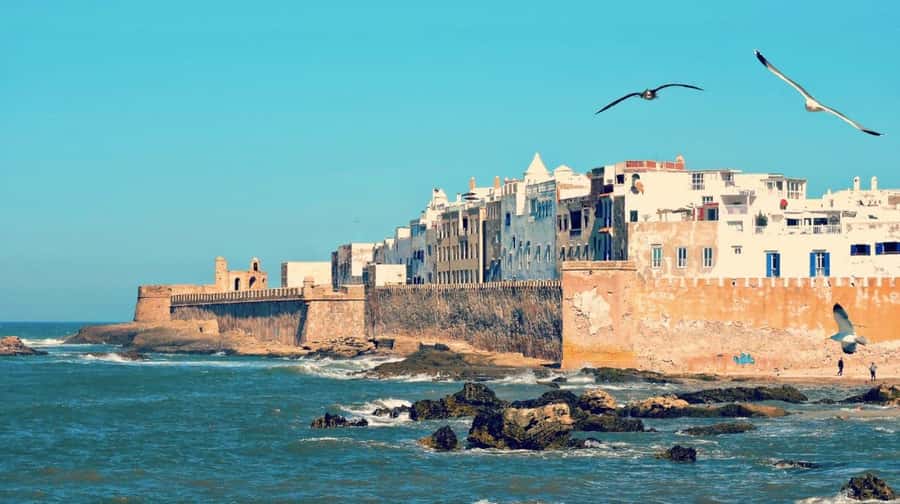 From Marrakech: small group Day Trip To Essaouira Mogador - Harbor and blue fishing boats: postcard views with real atmosphere