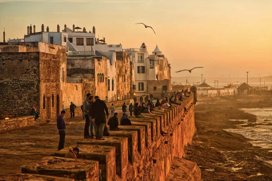 From Marrakech: small group Day Trip To Essaouira Mogador - Ramparts and cannons: the seafront fort experience