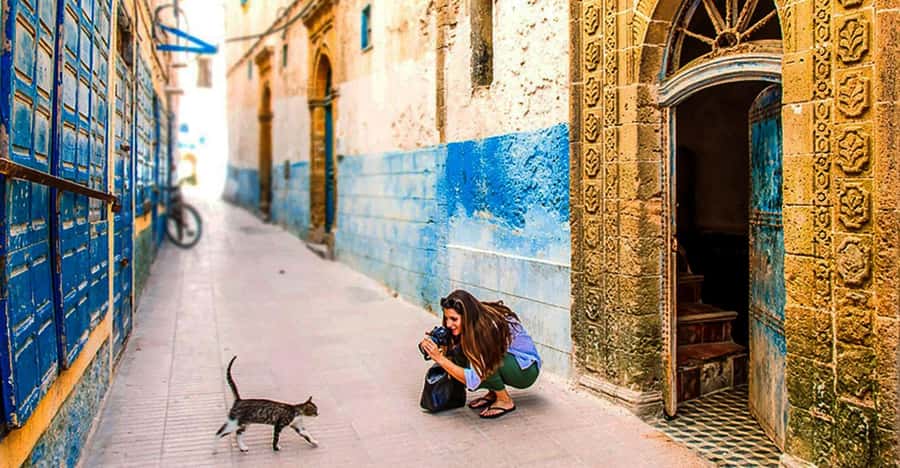 From Marrakech: Small Group To Essaouira & Medina Day Trip - Entering Essaouira’s Medina, Portuguese Architecture Included