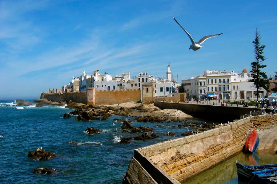 From Marrakech: Small Group To Essaouira & Medina Day Trip - Skala du Port Views, Craft Streets, and the Music Moment