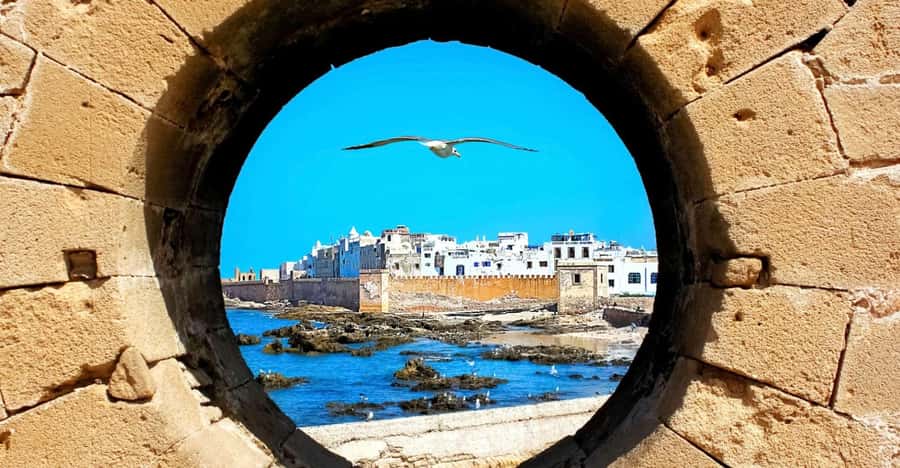 From Marrakech: Small Group To Essaouira & Medina Day Trip - Fresh Seafood Lunch at the Fishing Port