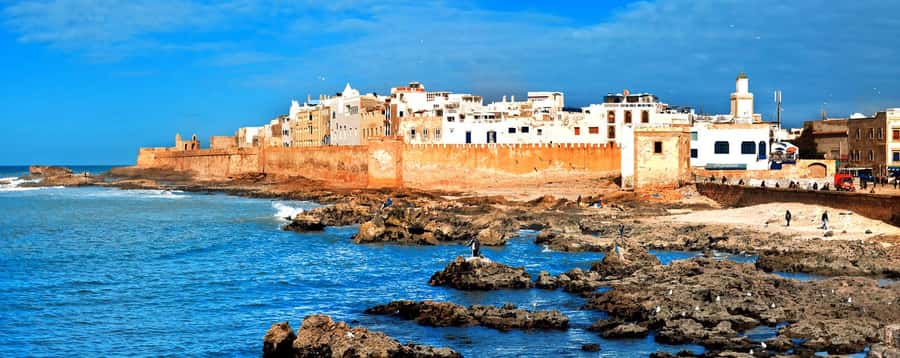 From Marrakech: Small Group To Essaouira & Medina Day Trip - Argan Oil Cooperative Visit, Liquid Gold With Real People