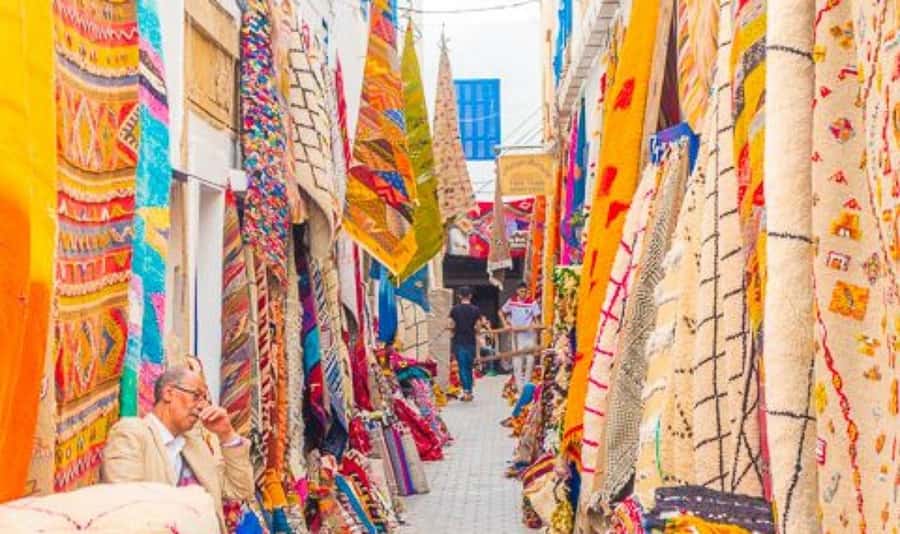 From Marrakech: Small Group to Essaouira & Sekkala Day Trip - Argan co-operatives: the stop that actually teaches you what you buy