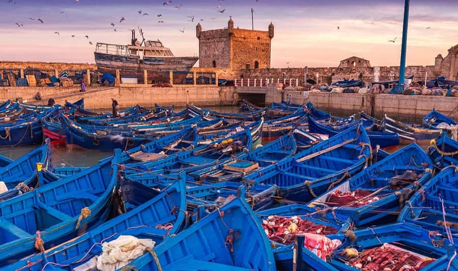 From Marrakech: Small Group to Essaouira & Sekkala Day Trip - Skala de la Kasbah: fortress walls and panoramic ocean views