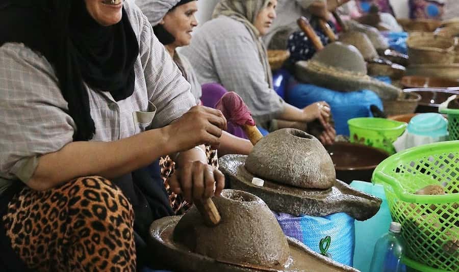 From Marrakech: Small Group to Essaouira & Sekkala Day Trip - Port, ramparts, and beach time: where the day finally slows down