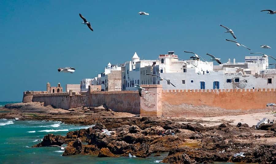 From Marrakech: Small Group to Essaouira & Sekkala Day Trip - Price and value: why $15 can work, and the one tradeoff