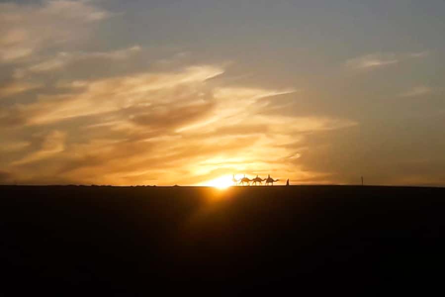 From Marrakech: Sunset Camel Ride in the Agafay Desert - The 1-hour camel ride: guided, photo-friendly, and mostly about riding