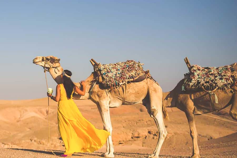 From Marrakech: Sunset Camel Ride in the Agafay Desert - Who should book this sunset camel ride, and who might want something else