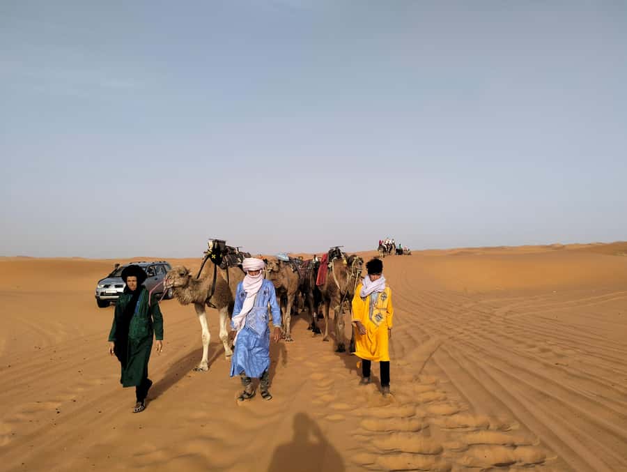 From Marrakech to Agadir : 4-Day Sahara Desert Tour - Should you book this Marrakech to Agadir Sahara Desert Tour?