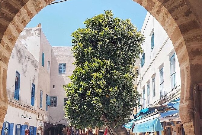 From Marrakech To Essaouira Mogador Full Day Trip | Small-group - Essaouira Arrivals: Beach Time and a Panoramic View Before You Hit the Old City