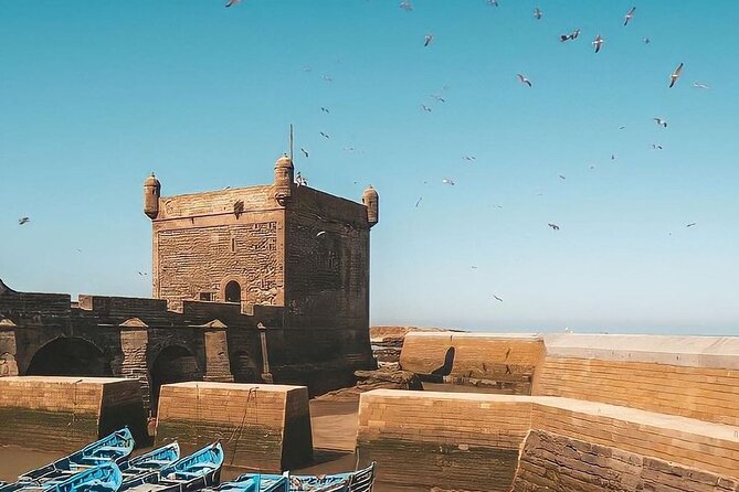 From Marrakech To Essaouira Mogador Full Day Trip | Small-group - Drivers and Pace: Why the Human Factor Matters on a Long Day
