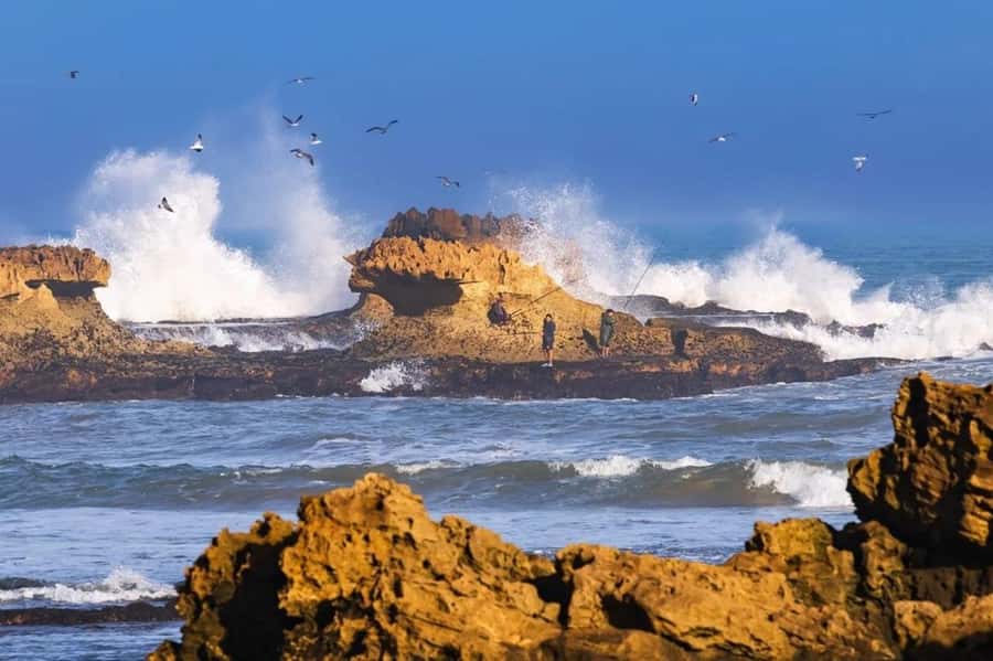 From Marrakech To Essaouira Mogador Full Day Trip Smallgroup - Key moments that make this trip worth your time