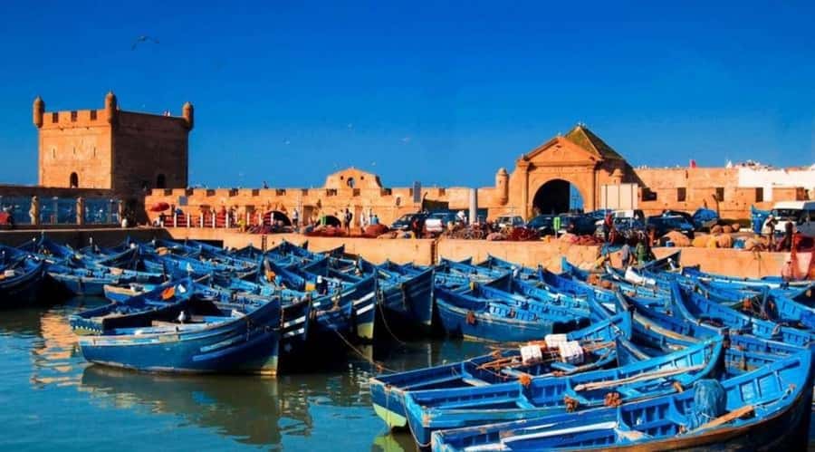 From Marrakech To Essaouira Mogador Full Day Trip Smallgroup - Sidi Mokhtar and the route breaks you will be glad you took