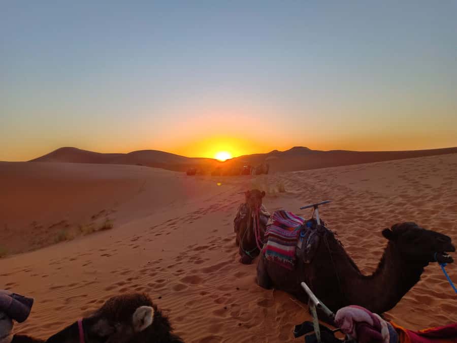 From Marrakech to Fes 3-Day Luxrury Tour via Sahara Desert - Comfort Tips That Make the Big Driving Days Easier