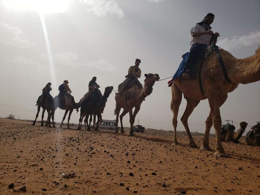 From Marrakech to Fes 4-Day Merzouga Sahara Desert Adventure - Camel trek, Berber camp night, and sunrise on the dunes
