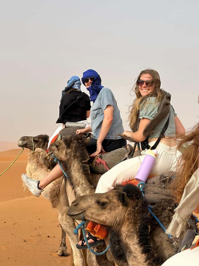 From Marrakech to Fes 4-Day Merzouga Sahara Desert Adventure - The return toward Fes via Ziz Valley, Errachidia palms, and Barbary macaques