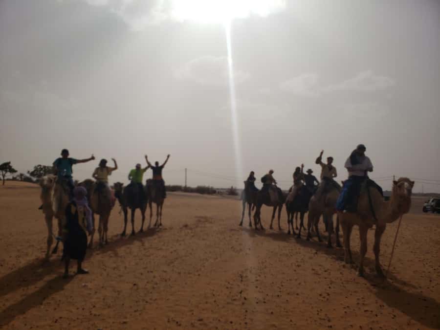 From Marrakech to Fes 4-Day Merzouga Sahara Desert Adventure - Guides and small-group size: why it matters on this route