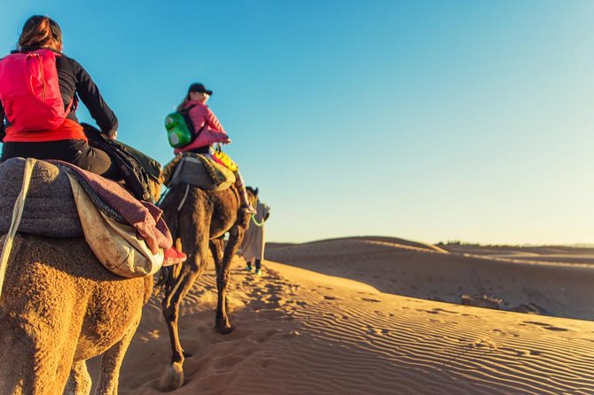 From Marrakech To Fes Through The Desert Of Merzouga: Shared - Shared group reality: pacing, breaks, and why drivers matter
