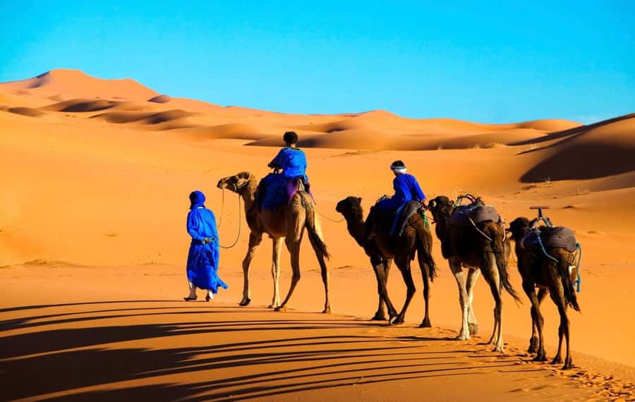From Marrakech: Tour 3-Day To Fez Via-Desert Merzouga - Day-by-day stops: what each one is good for, and what to watch