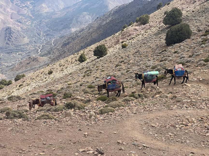 From Marrakech: Trek to Atlas Mountains, Full-Day Trip Lunch - Lunch at a local home: vegetarian tagine, mint tea, and a real taste of mountain cooking