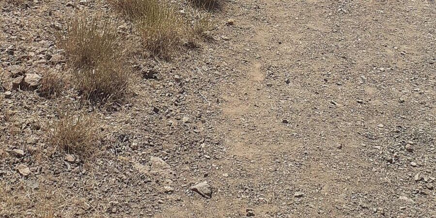 From Marrakech: Trek to Atlas Mountains, Full-Day Trip Lunch - What to pack for a comfortable day on uneven mountain trails