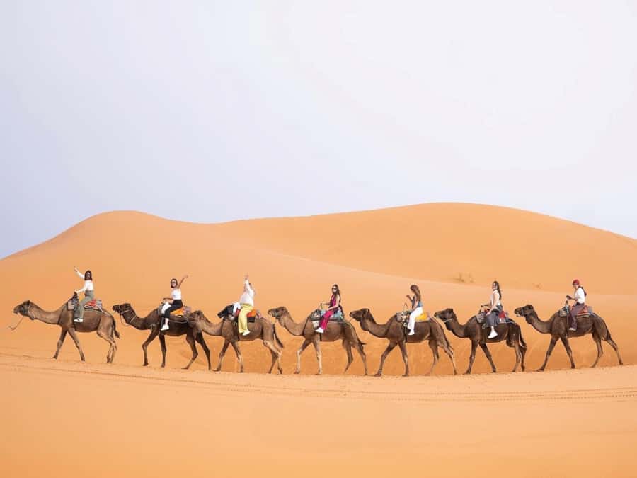 From Marrakech: Unforgettable 3-Day Desert Tour to Fes - Day 2: Todra Gorge walk, Sahara dunes, camels at golden hour