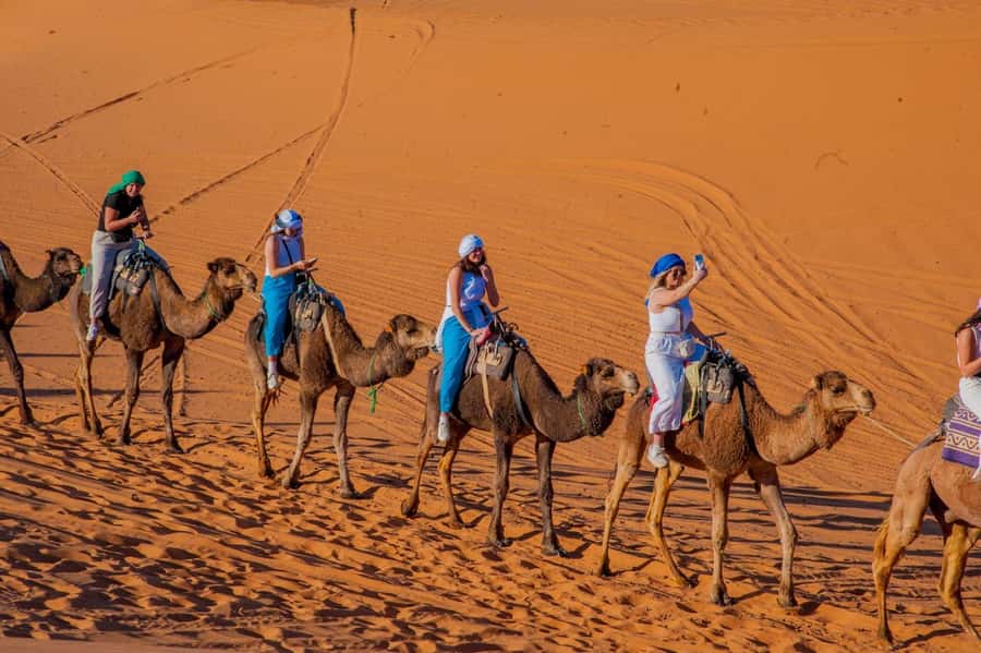 From Marrakech: Unforgettable 3-Day Desert Tour to Fes - Day 3: Erfoud fossils, Ziz Valley views, cedar forest macaques, and arrival in Fes