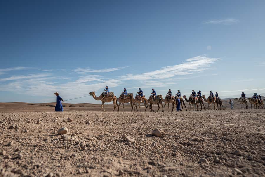 From Marrakech: VIP Agafay Desert & Oasis Camel Experience - Quick hits that matter