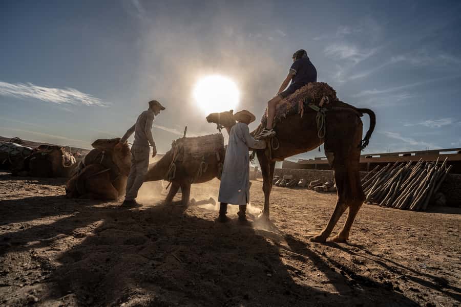 From Marrakech: VIP Agafay Desert & Oasis Camel Experience - The oasis welcome: tea, snack, and meeting your camel buddy