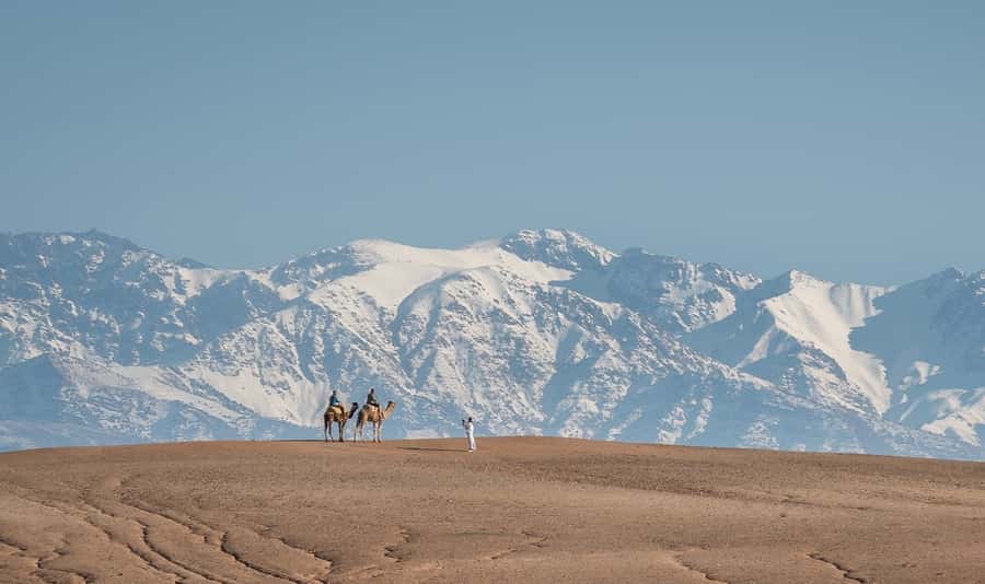 From Marrakech: VIP Agafay Desert & Oasis Camel Experience - From Marrakech to the oasis: how the timing really works