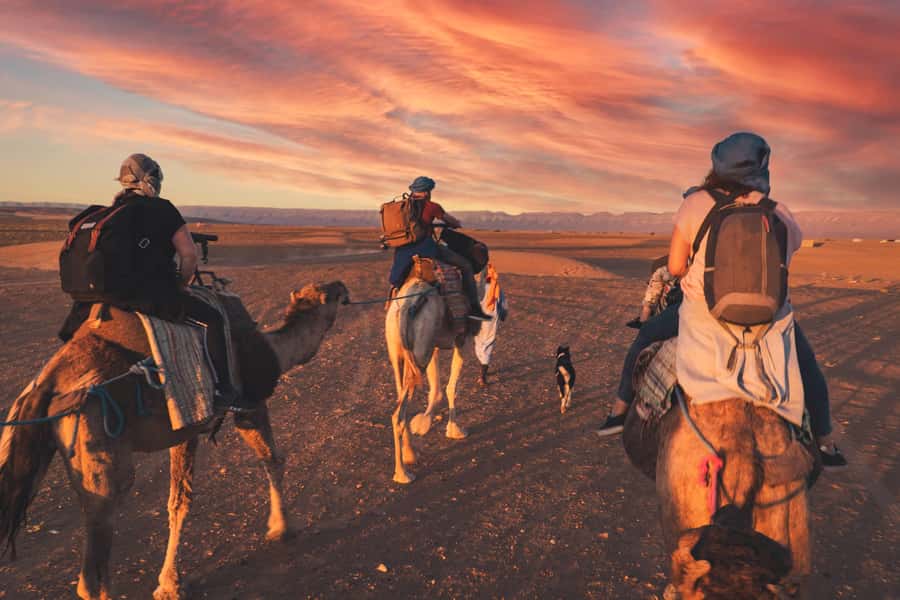 From Marrakech: Zagora 2-Day Desert Safari with Food & Camp - Draa Valley to Agdez: Palm Oasis Country and Fortified Kasbahs