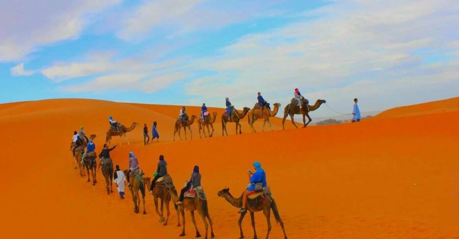 From Marrakesh: 2-Day Desert Zagoura Tour - How Much Desert Do You Really Get, and Why Expectations Matter