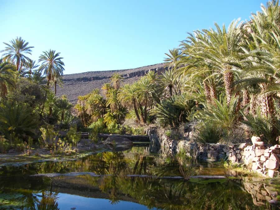 From Marrakesh: 2-Day Trek to Ait-Benhaddou and Ouarzazate - Oasis Fint: Palm Grove Views, Four Berber Villages, and Mint Tea