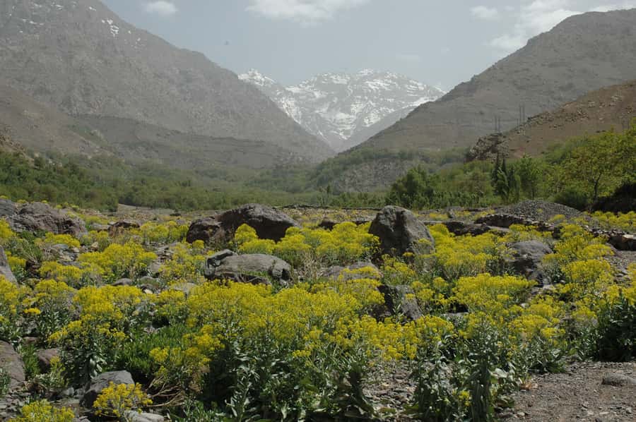 From Marrakesh: 3-Day Trip to Berber Villages - A 3-day High Atlas trek that feels like real Morocco