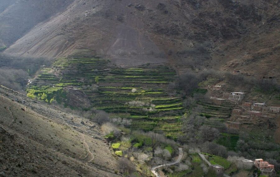From Marrakesh: 3-Day Trip to Berber Villages - Meals on the trail: chef-prepared cooking and the mule help