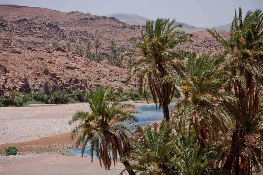 From Marrakesh: 4-Day Private Atlas Mountains & Desert Tour - Ouarzazate Film Sets and Ait Ben Haddou: UNESCO Plus Hollywood